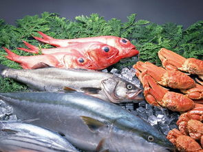海鲜鱼类鲜美小鱼餐饮海产美食素材图片 模板下载 3.47MB 其他大全 标志丨符号
